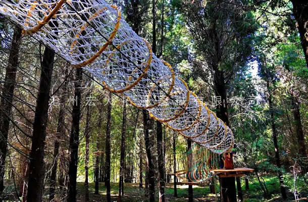 叢林探險樂園