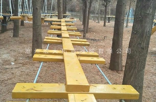 叢林探險樂園