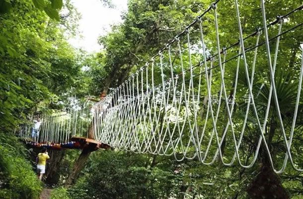 叢林探險樂園