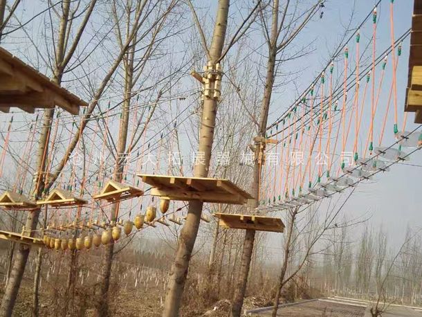 叢林探險(xiǎn)器械 叢林探險(xiǎn) 樹(shù)上拓展設(shè)備 樹(shù)上探險(xiǎn)設(shè)備