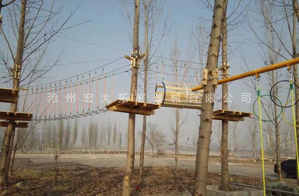 山東省棗莊叢林探險器材，樹上拓展探險設(shè)備安裝完工
