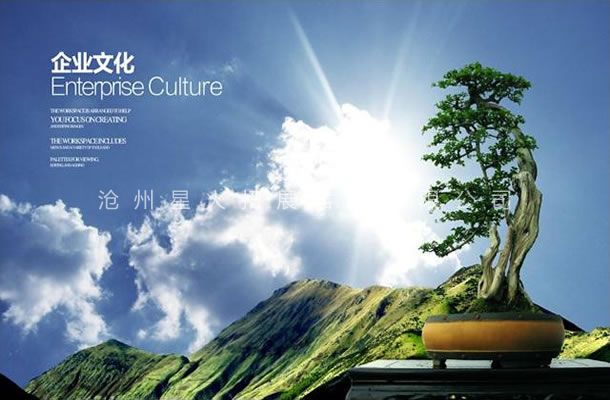 發(fā)展觀-企業(yè)文化-滄州星火拓展器械有限公司