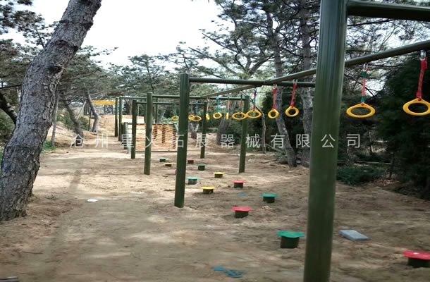 青少年障礙賽B-拓展器材生產(chǎn)廠家-場地拓展器械