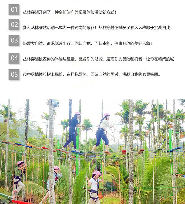 叢林探險(xiǎn)，樹上探險(xiǎn)實(shí)景展示