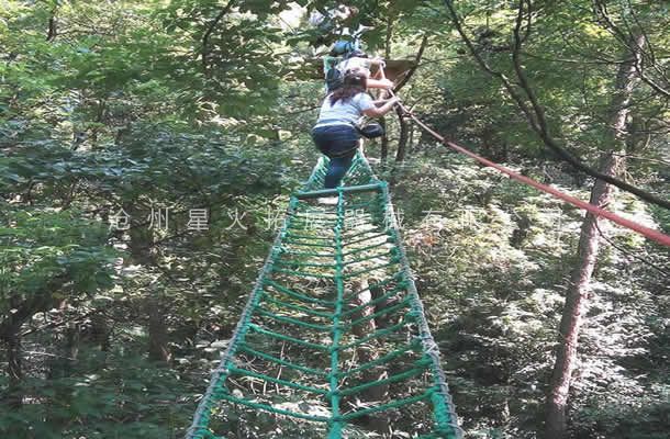 樹上拓展設(shè)備