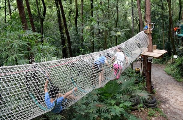 叢林探險樂園